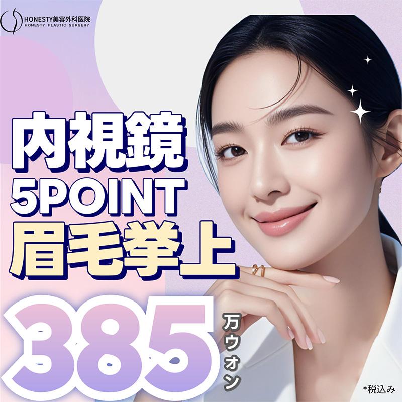 内視鏡 5POINT眉毛挙上