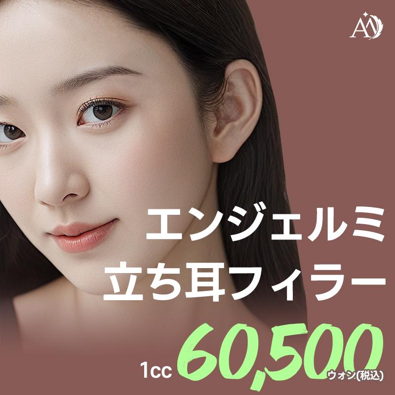 立ち耳フィラー