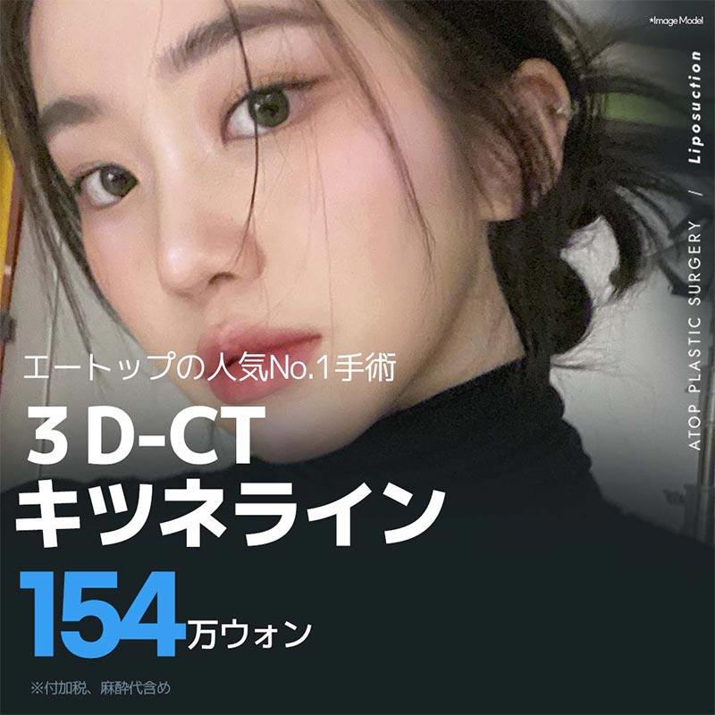  3D-CTキツネライン