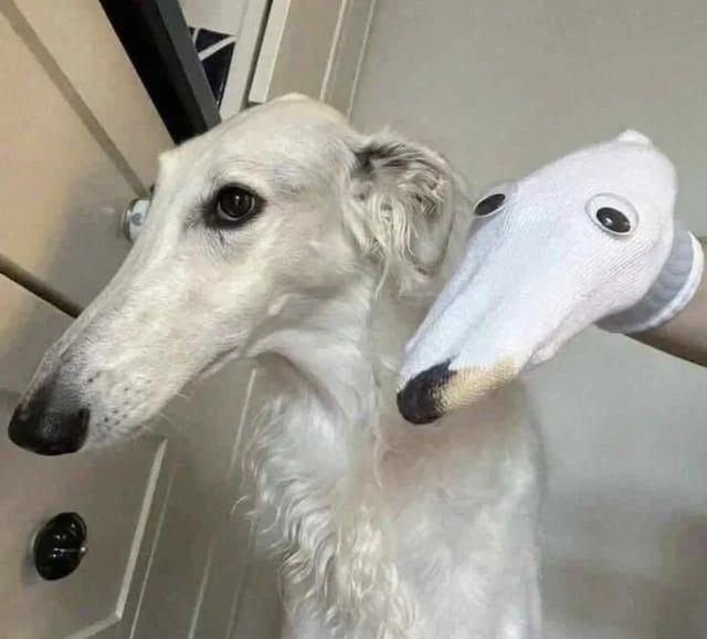 前
