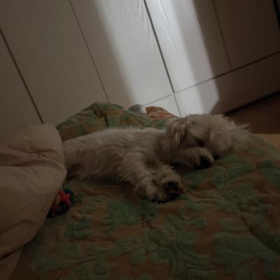 후기 사진 1