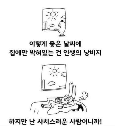 후기 사진 1