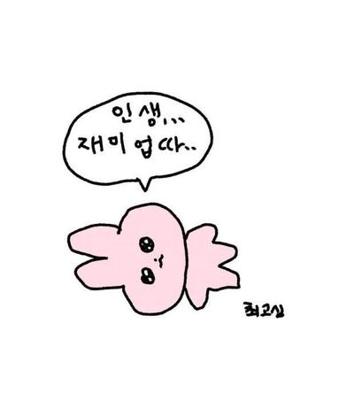 후기 사진 1