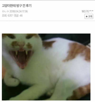 후기 사진 1