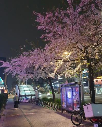 후기 사진 1