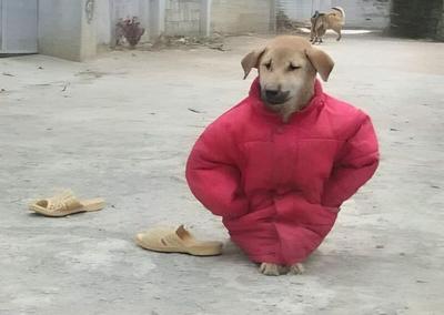 후기 사진 1