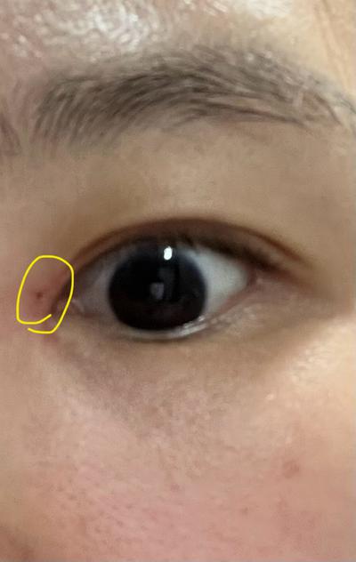 후기 사진 2