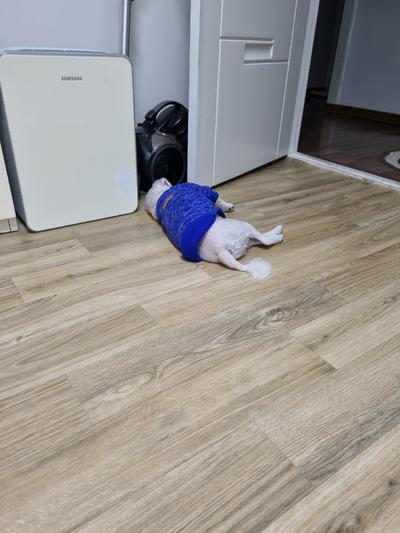 후기 사진 1