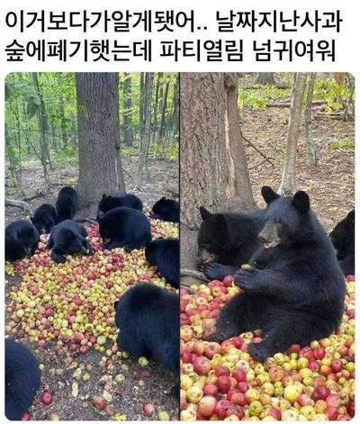 후기 사진 1