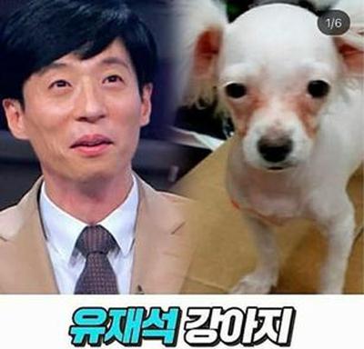 후기 사진 1