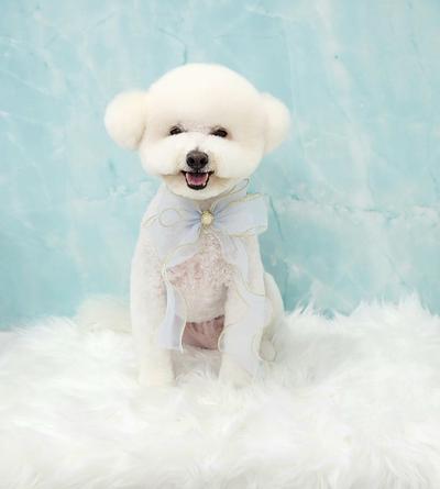 후기 사진 1