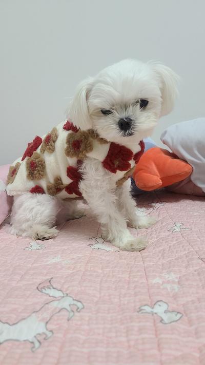 후기 사진 3