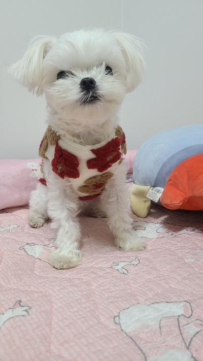 후기 사진 1