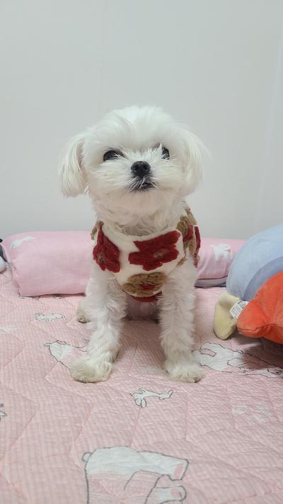 후기 사진 2