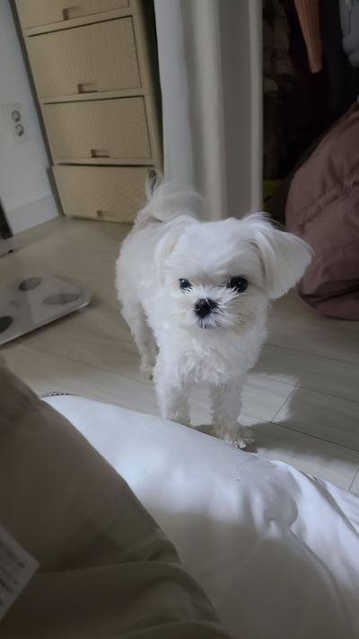 후기 사진 6