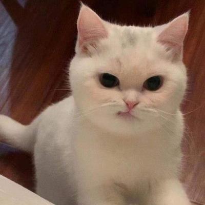 후기 사진 1