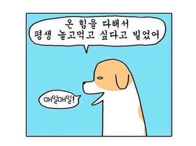 후기 사진 1
