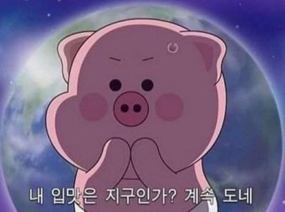 후기 사진 1