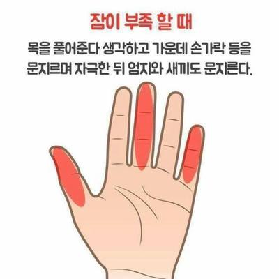 후기 사진 1
