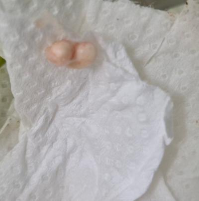 후기 사진 1