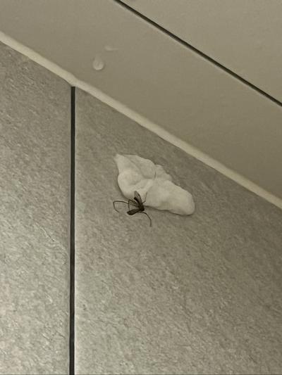 후기 사진 1