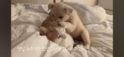 후기 사진 1
