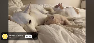 후기 사진 3