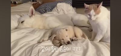 후기 사진 4