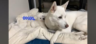 후기 사진 5