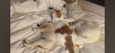 후기 사진 2