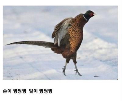 후기 사진 1