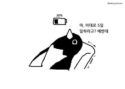 후기 사진 1