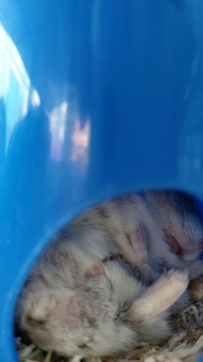 후기 사진 1