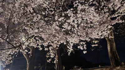후기 사진 1