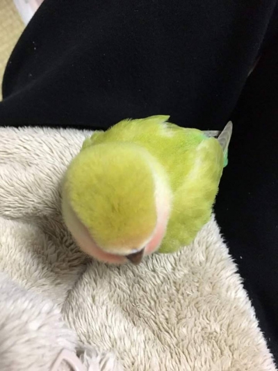 후기 사진 1