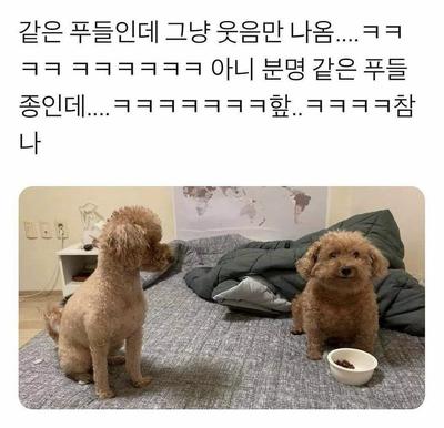 후기 사진 1