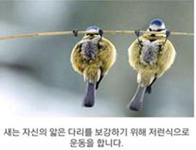 후기 사진 1