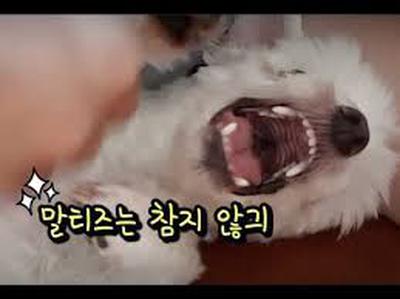 후기 사진 1