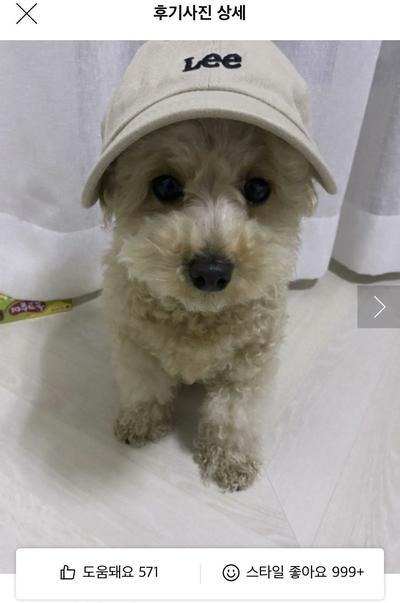 후기 사진 1