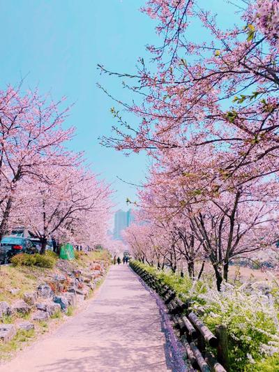 후기 사진 1