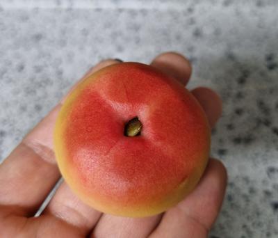 후기 사진 1