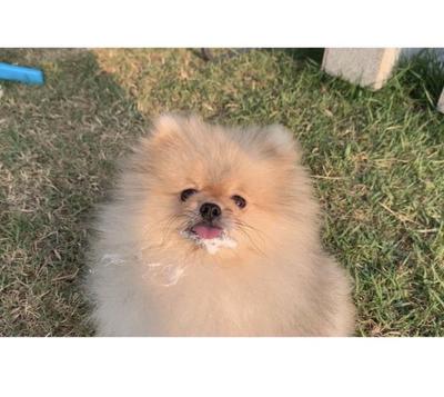 후기 사진 1