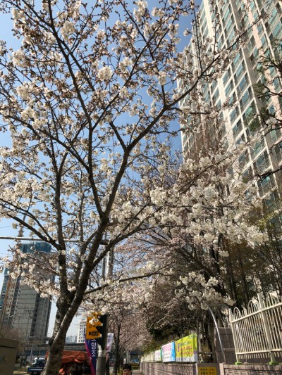 후기 사진 1
