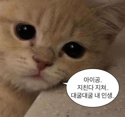 후기 사진 1