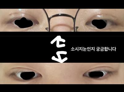 후기 사진 2