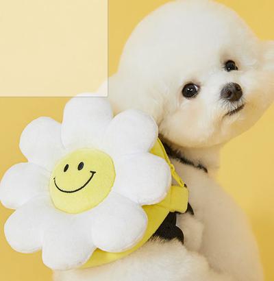 후기 사진 1