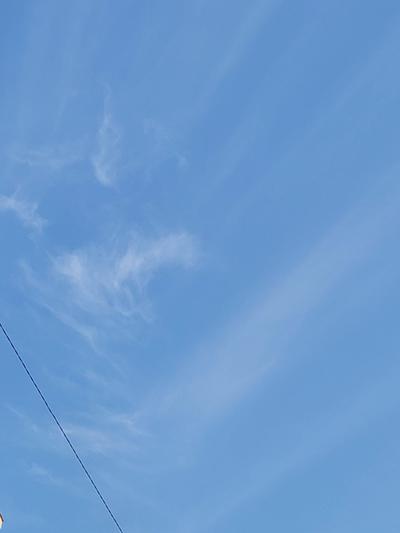 후기 사진 1