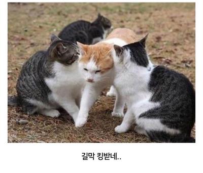 후기 사진 2