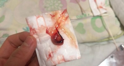 후기 사진 1