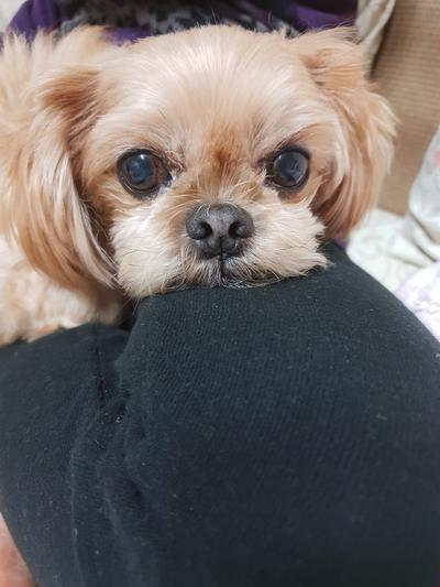 후기 사진 2
